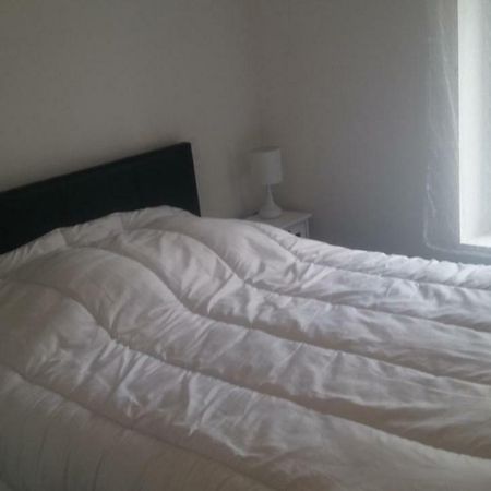 Gite Picarrou Cintegabelle Zewnętrze zdjęcie